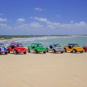 WhatsApp Image 2026-03-18 at 12.01.02