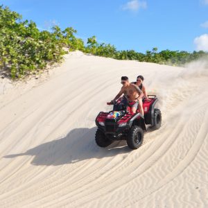 WhatsApp Image 2026-03-20 at 13.26.37