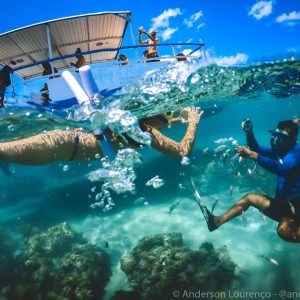 WhatsApp Image 2026-03-20 at 13.28.18