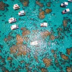 WhatsApp Image 2026-03-20 at 13.28.18421