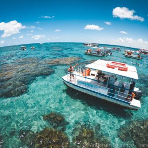 WhatsApp Image 2026-03-20 at 13.28.19533