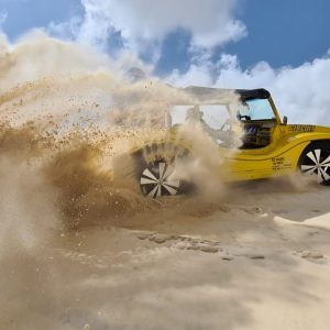 WhatsApp Image 2026-03-20 at 13.30.06415