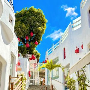 WhatsApp Image 2026-03-20 at 17.32.47