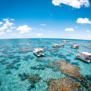 WhatsApp Image 2026-03-20 at 421